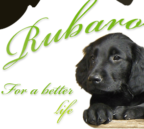 Rubaron&#8217;s - Logo