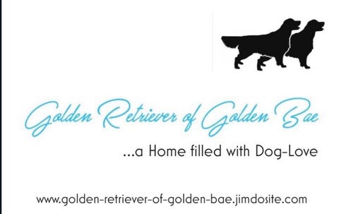 Ernährungsberatung für Hunde Daniela Mayer &#8211; Of Golden Bae - Logo
