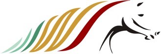 WS GmbH - Logo