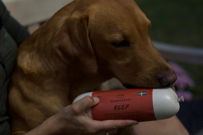 MAGNUSSONS BEEF - Image 3