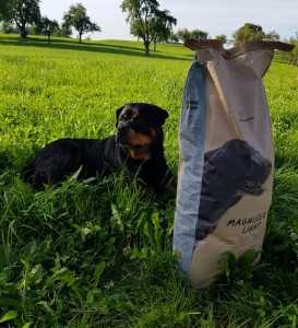 MAGNUSSONS LIGHT - Magnusson Hunde- und Katzenfutter